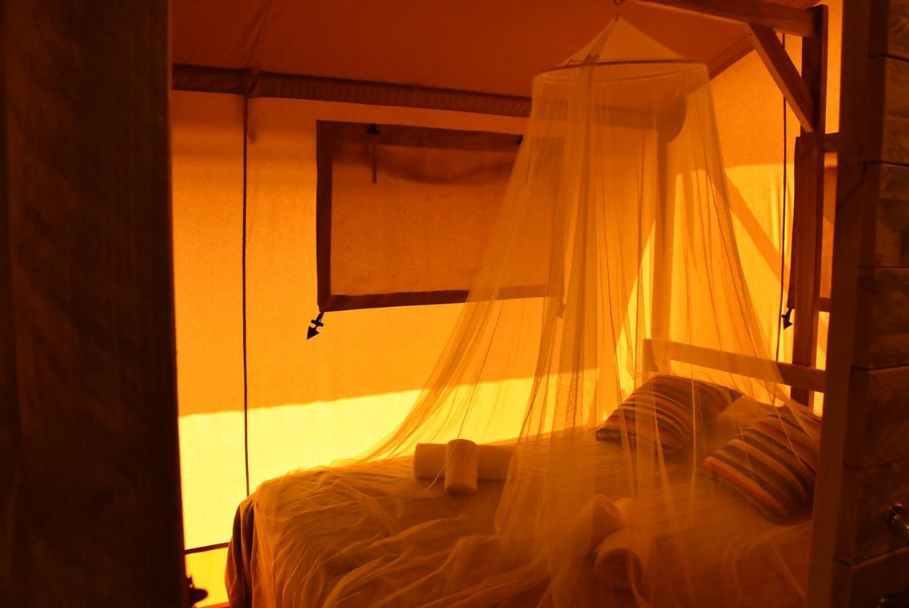 Salema Eco Camp - Sustainable Camping & Glamping Eksteriør billede