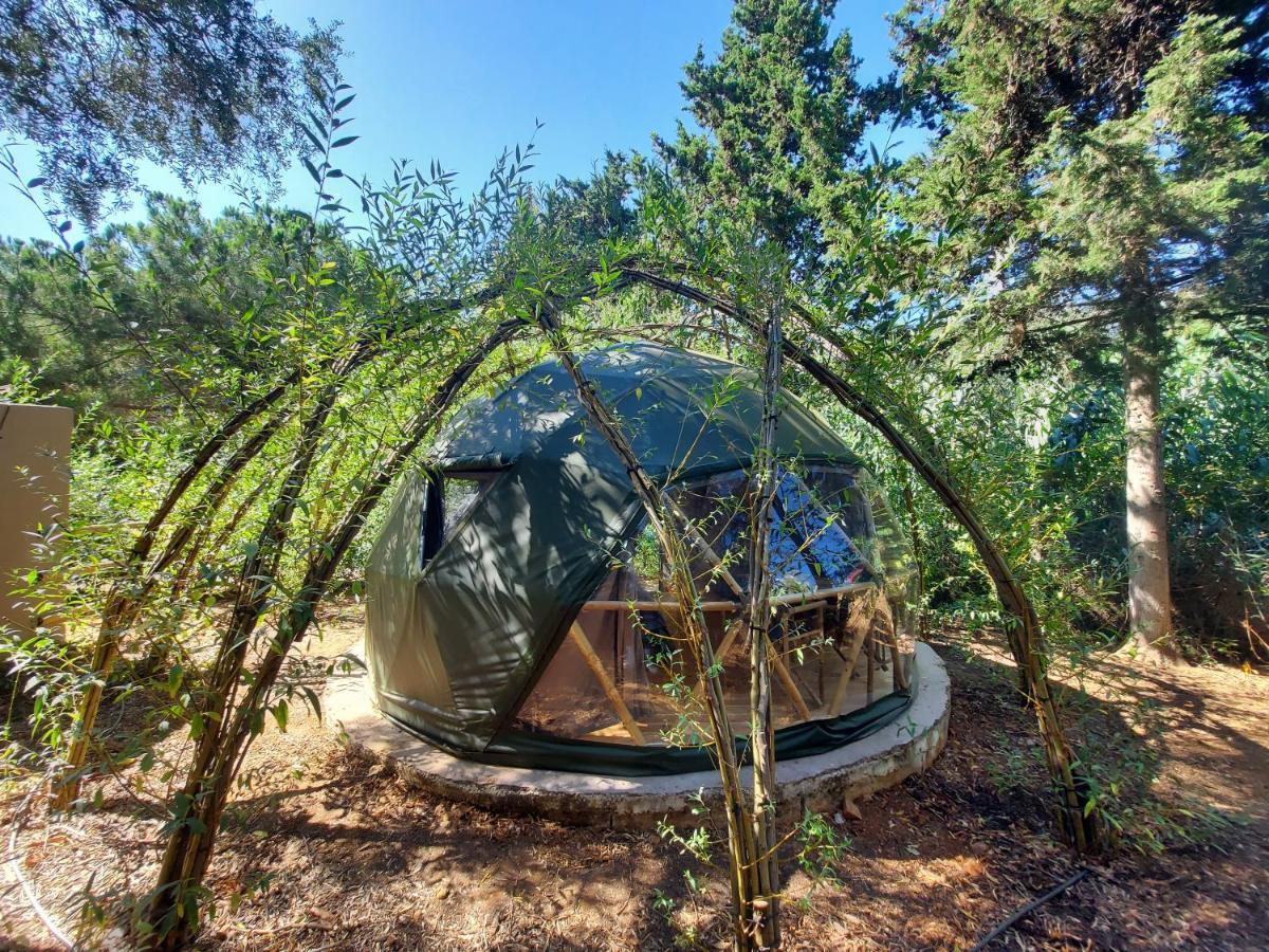 Salema Eco Camp - Sustainable Camping & Glamping Eksteriør billede
